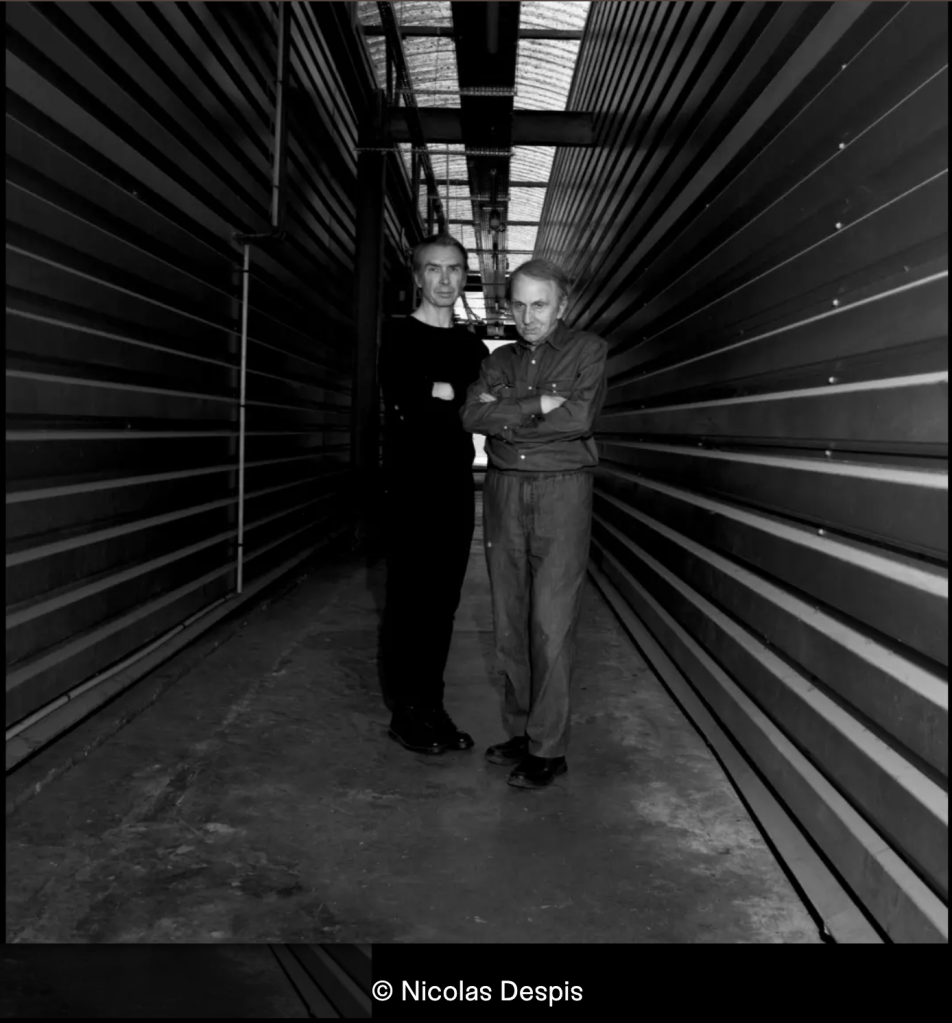 Michel Houellebecq et Frédéric Lo